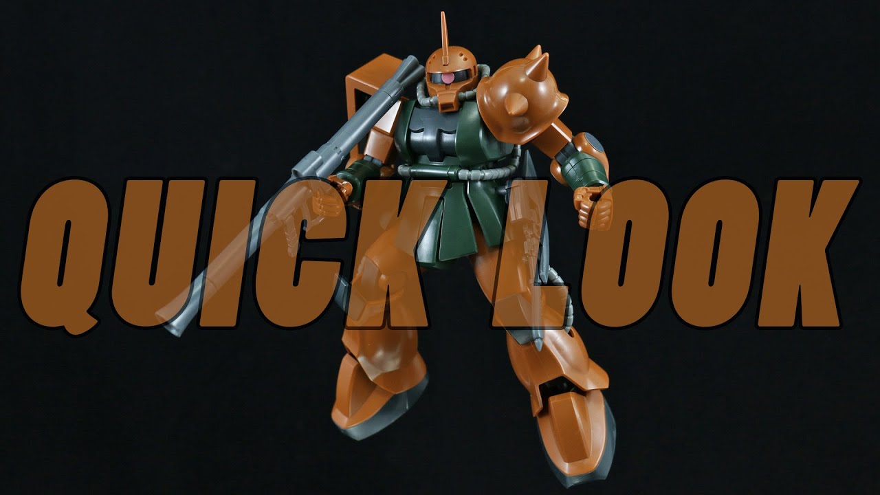 HGUC 1/144 MS-06FS  ガルマ・ザビ専用 ザクII FS型 　【完成】