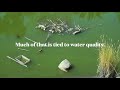 Our Living Delta - An Online Benefit for Restore the Delta