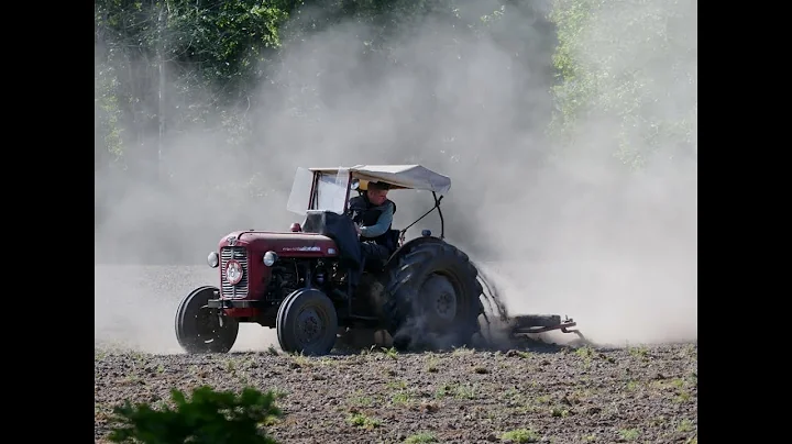 MF 35  First field test after engine overhaul