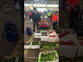Paddy’s—if you just want fruits and veggies, cheap! #market