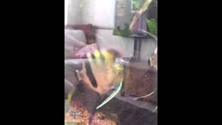20120808_134955.mp4