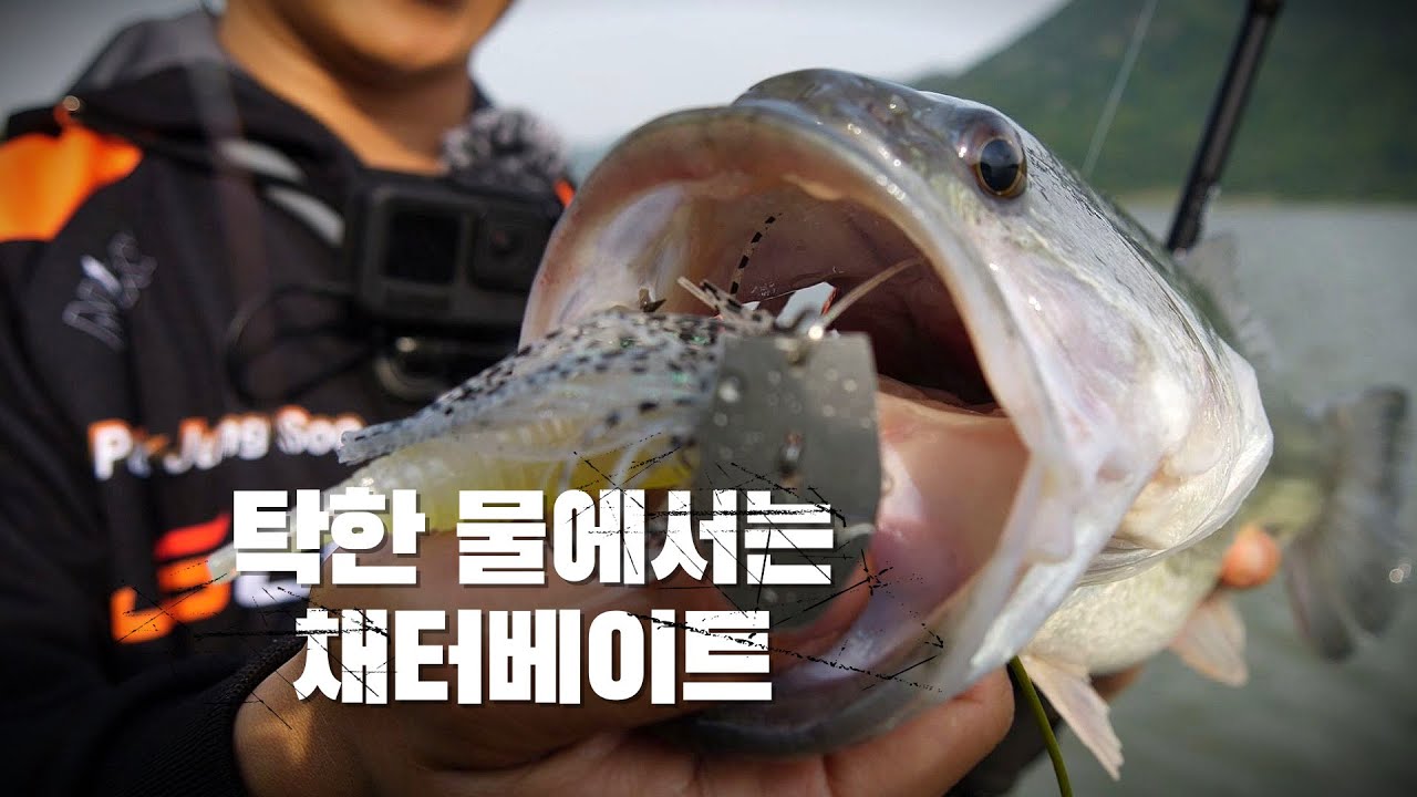 [피싱로그99.9] #189회 탁한 물색에서는 채터베이트로 배스낚시를 즐겁게!!
