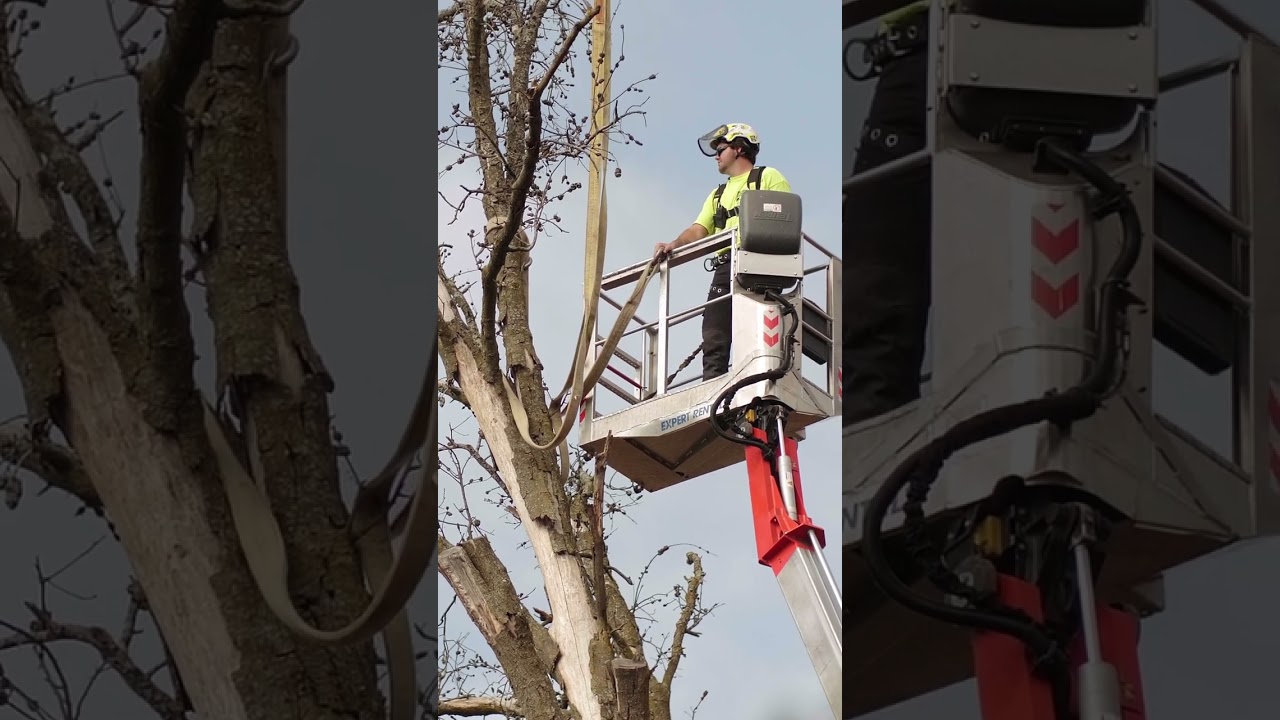 Branching Out - Our Crew at Oli Outdoor Services 