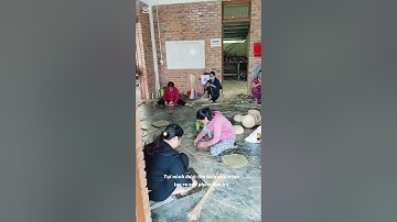 Giải nhất cuộc thi Bee