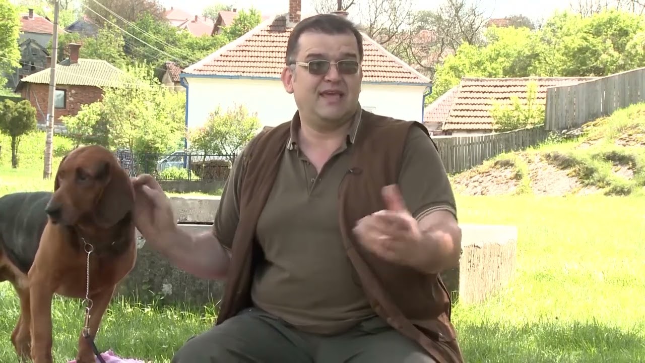 Postupci sa štencima - Lovački saveti