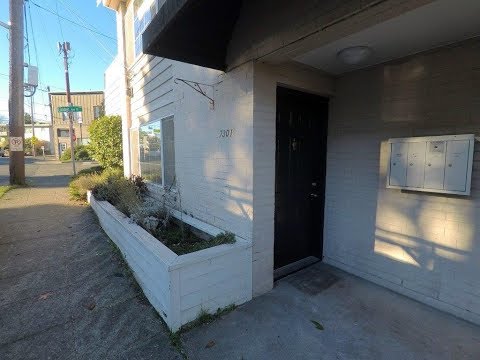 7301 Winona Ave N, Seattle, WA home video tour