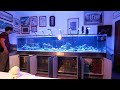 My biggest custom aquarium 400gal reef