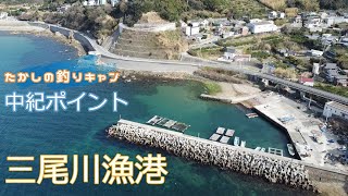 中紀ポイント 三尾川漁港 有名ポイントがひしめくエリアの中、ひっそりと佇む小さな漁港