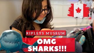 So many SHARKS in RIPLEYS CANADA! Vlog