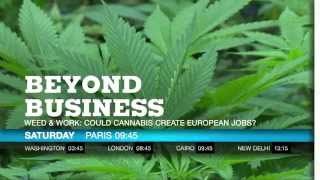 Beyond Business - Could cannabis create European jobs?