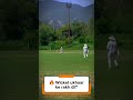 🔥 Wicket Ukhaar Ke Rakh Di! Unbelievable Bowling Magic CleanBowled#Cricket#FastBowling#StumpsFlying