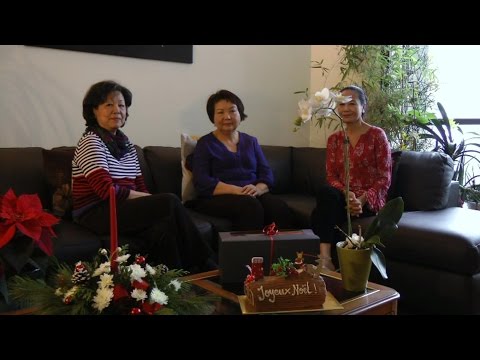 Video BANH BUCHE DE NOEL GIA CHANH TUOI HAC LDL - youtube