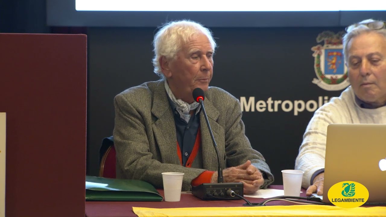 IL PONTE A RISCHIO - BOTTA E RISPOSTA CON LA SOCIETA' STRETTO DI MESSINA