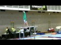 Kieran behan irl p bars final northern europeans 2015