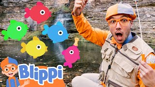 blippi catches rainbow color fish blippi learn colors and science