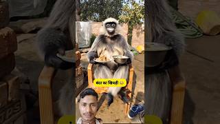 बन्दर का खिचड़ी 🙈🙉#funny #comedy #thetharpuns #shilpisaroja #comedyup#tshirtdesign