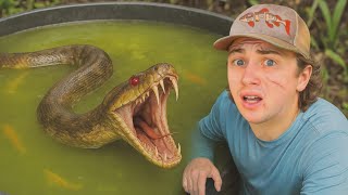 Odkryłem potwora w swoim stawie!