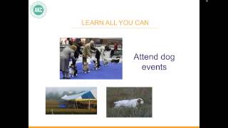 AKC Breeder Webinar: Are you ready to breed a litter?