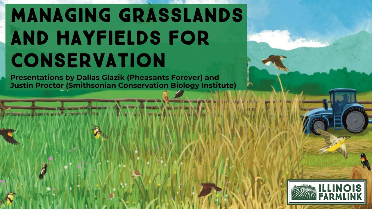 Managing Grasslands and Hayfields for Conservation - YouTube