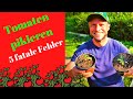 Wie TOMATEN pikieren - 5 FEHLER die du nicht machen darfst! 🍅