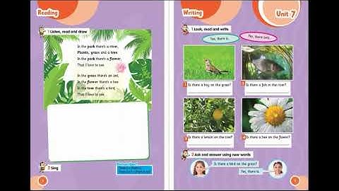 Primary 2 Unit 7 Audio Connect NFS