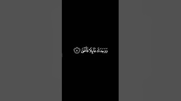 كروما ايات قرآنيه | سورة الضحى شاشة سوداء ، ياسر الدوسري #explore #قرآن #fyp