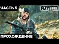 DAYS GONE - ОРДА ЗОМБИ ГОНИТСЯ ЗА МНОЙ! НАШЕЛ ЩЕНКА | ПРОХОЖДЕНИЕ #5