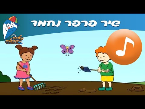 וִידֵאוֹ: פרפר אורגנזה יוצא דופן