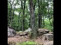 Ted on the woods jumps