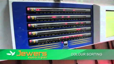 Colour Sorting - Jewers Grain Processing