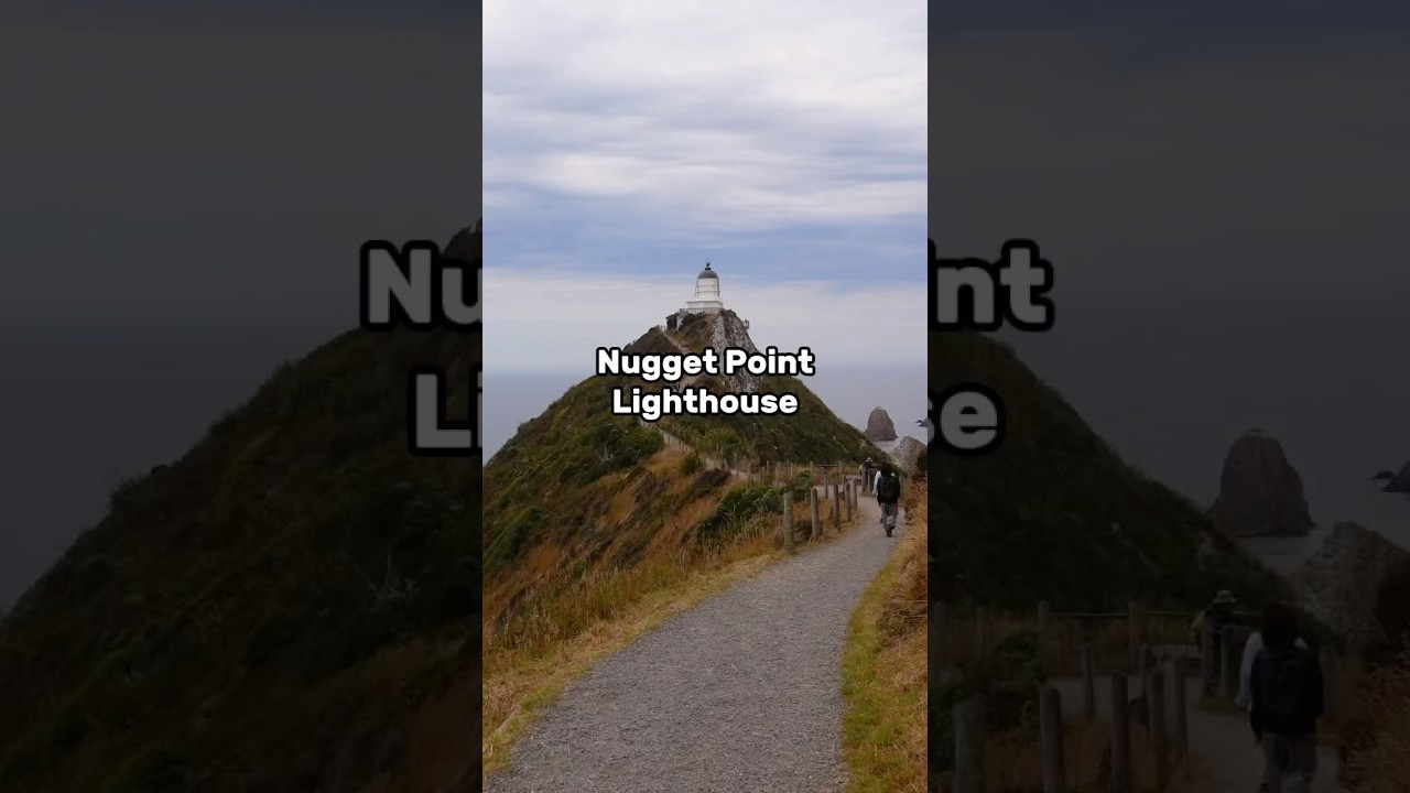 📍 Nugget Point, Kaka Point, New Zealand 