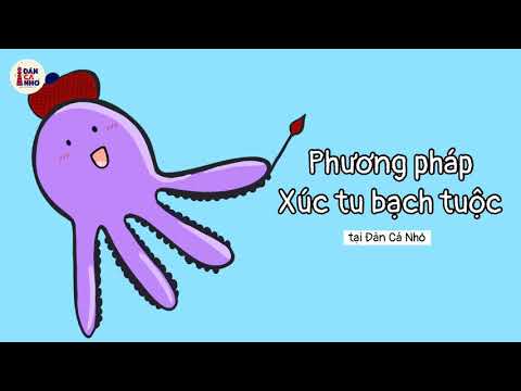 Xúc Tu Bạch Tuộc - Phương pháp Xúc tu của bạch tuộc