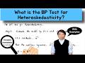 What is the BP Test for Heteroskedasticity? |【Five Minute Econometrics】Topic 73