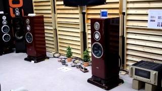 FOSTEX GX250 FOSTEX GX250