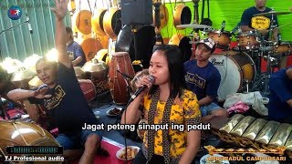 Mbledose Gunung Kelut voc.Kangmas Sutris & Anisa Ft AMBURADUL CAMPURSARI Tulungagung