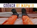 СПЁКСЯ ОТ ЖАРЫ))) Приколы | Мемозг 743