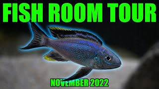 NEW FISH! New BREEDING Projects! Fish Room Tour November 2022