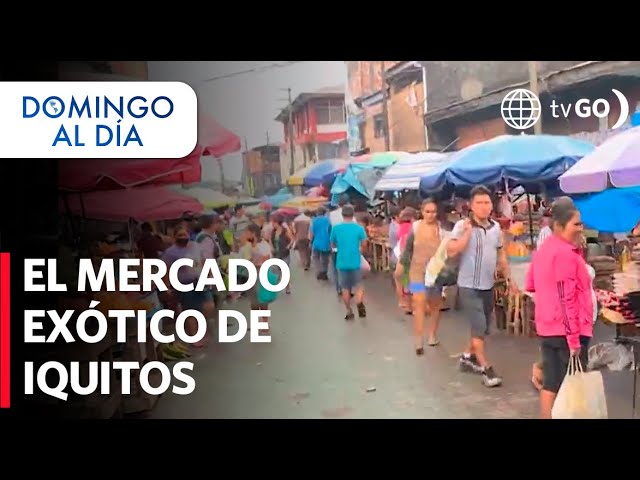 Conoce el mercado de Belén y el pasaje Paquito en Iquitos | Domingo al Día