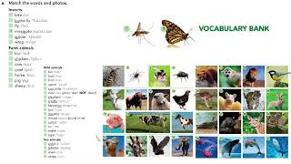 English File pre intermediate 4th edition SB_9.2