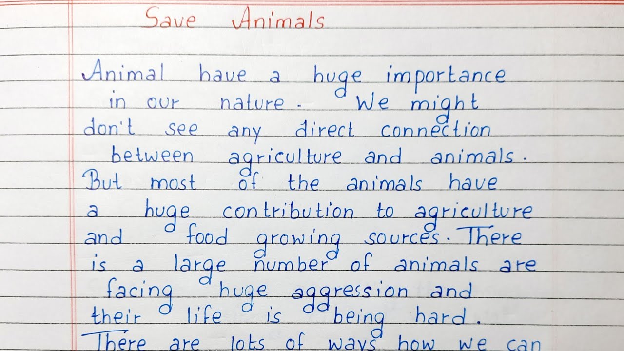 Write a short essay on Save Animals | Essay Writing | English - YouTube