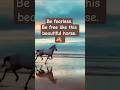 Be fearless, wild, unstoppable, because freedom isn't given, you've to claim it.#powerful #fearless