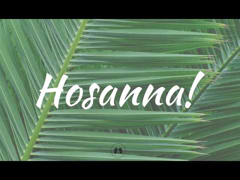 29th  March 11.30am - Palm Sunday - Hosanna to the Son of David