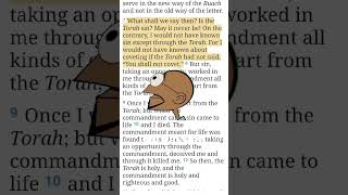 torah still stands! #torah #bible #tanak #jesus #yeshua #god #yhwh #pronomian #messianic #messiah