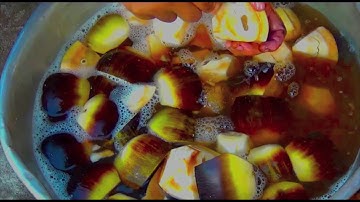 Bóng cây Thốt nốt ... dương đình hùng