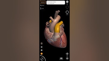 Some important topic in Biology from Angel Biology classes