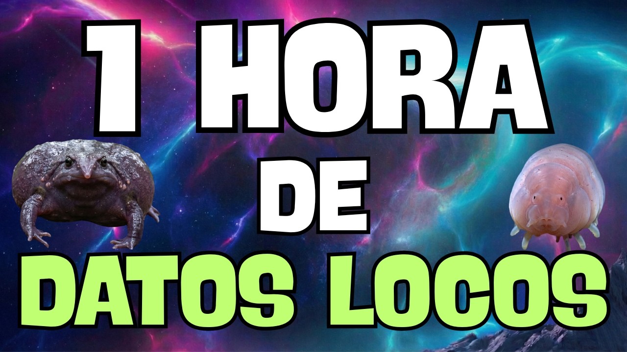 Una Hora de Curiosidades  Datos Curiosos y  Cosas que No Sabías 😮​ #3