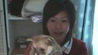 FEI JAI -- introduction