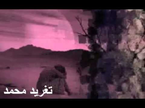 عبد المنعم الخالدى الاميرة تغريد محمد