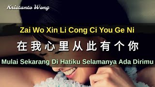 Zai Wo Xin Li Cong Ci You Ge Ni 在我心里从此有个你 - Zhang Wei Jia 张玮伽