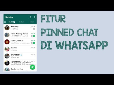 Cara Menyematkan Chat di WhatsApp, Pin Grup Chat atau Kontak Favorit di Paling Atas